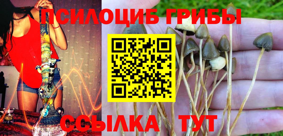 Галлюциногенные грибы ЛСД  наркотики  Губкин  Галлюциногенные грибы мухоморы  Вход с VPN 